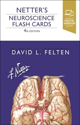 Netter's Neuroscience Lernkarten - Netter's Neuroscience Flash Cards