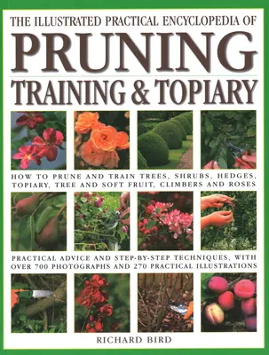 Illustrierte praktische Enzyklopädie des Beschneidens, Erziehens und Formschnitts: Beschneiden und Erziehen von Bäumen, Sträuchern, Hecken, Formschnitt, Baum- und Beerenobst, Klettern - Illustrated Practical Encyclopedia of Pruning, Training and Topiary: How to Prune and Train Trees, Shrubs, Hedges, Topiary, Tree and Soft Fruit, Climb