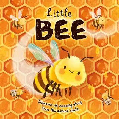 Naturgeschichten: Kleine Biene: Gepolstertes Pappbuch - Nature Stories: Little Bee: Padded Board Book
