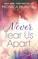 Never Tear Us Apart: Niemals Reihe 1 - Never Tear Us Apart: Never Series 1