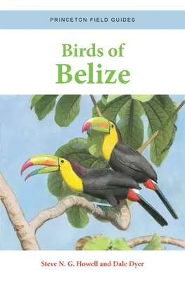Vögel von Belize - Birds of Belize