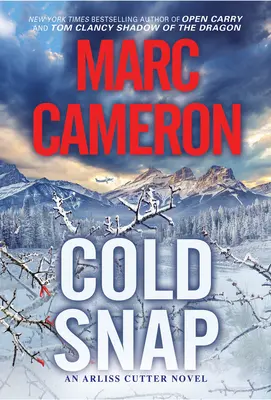 Cold Snap: Ein actiongeladener Spannungsroman - Cold Snap: An Action Packed Novel of Suspense