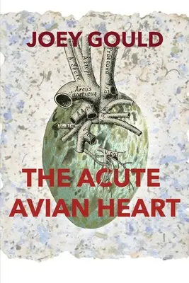 Das akute Vogelherz - The Acute Avian Heart