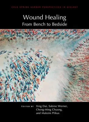 Wundheilung: Von der Bank zum Krankenbett - Wound Healing: From Bench to Bedside