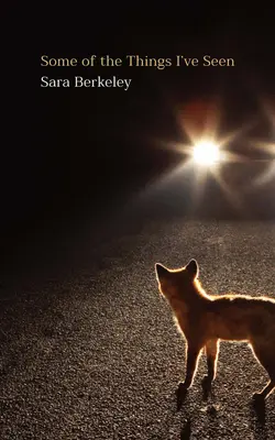 Einige der Dinge, die ich gesehen habe - Some of the Things I've Seen