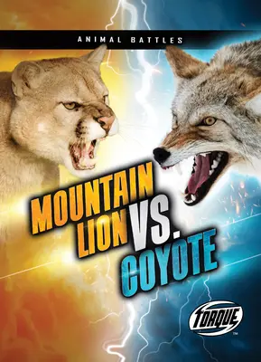 Berglöwe vs. Kojote - Mountain Lion vs. Coyote