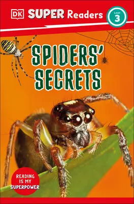 DK Super Readers Level 3 Die Geheimnisse der Spinnen - DK Super Readers Level 3 Spiders' Secrets