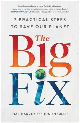 The Big Fix: Sieben praktische Schritte zur Rettung unseres Planeten - The Big Fix: Seven Practical Steps to Save Our Planet