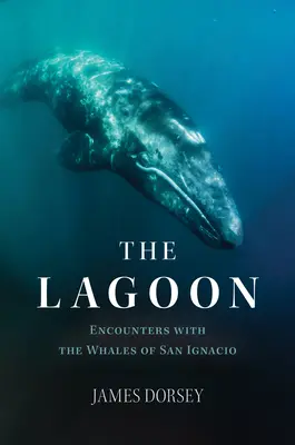 Die Lagune: Begegnungen mit den Walen von San Ignacio - The Lagoon: Encounters with the Whales of San Ignacio