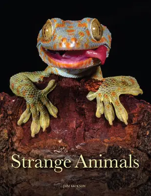 Seltsame Tiere - Strange Animals