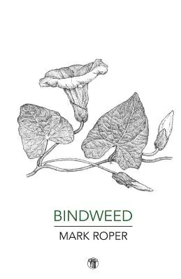 Bindweed