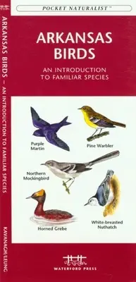 Nebraskas Vögel: Eine Einführung in vertraute Arten - Nebraska Birds: An Introduction to Familiar Species