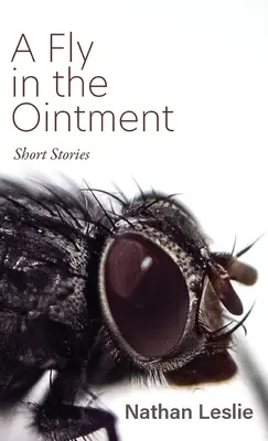 Eine Fliege in der Salbe: Kurzgeschichten - A Fly in the Ointment: Short Stories