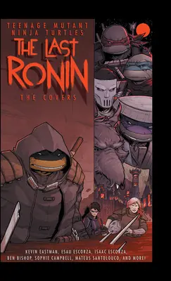 Teenage Mutant Ninja Turtles: Der letzte Ronin - Die Titelseiten - Teenage Mutant Ninja Turtles: The Last Ronin -- The Covers