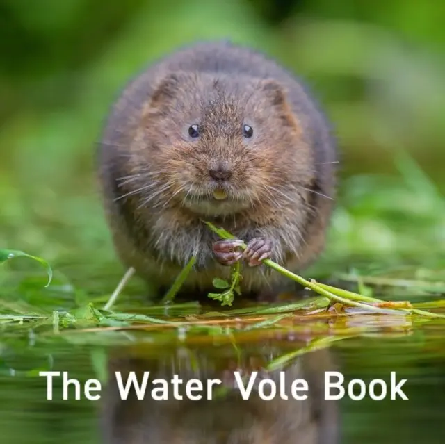 Das Wühlmaus-Buch - Water Vole Book