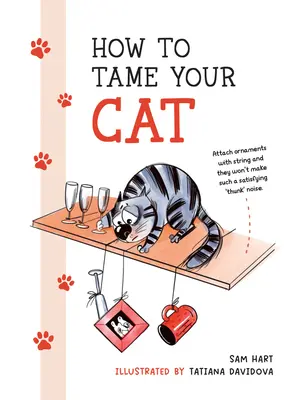 Wie Sie Ihre Katze zähmen - How to Tame Your Cat