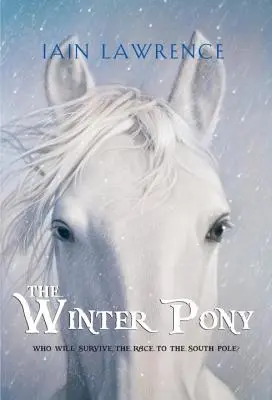 Das Winterpony - The Winter Pony