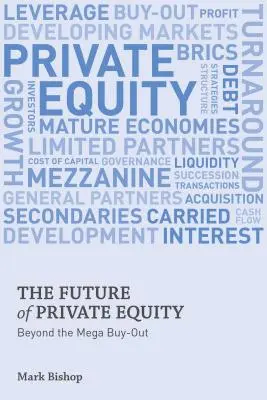 Die Zukunft von Private Equity: Jenseits des Mega-Buyouts - The Future of Private Equity: Beyond the Mega Buyout