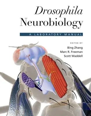 Drosophila-Neurobiologie: Ein Laborhandbuch - Drosophila Neurobiology: A Laboratory Manual