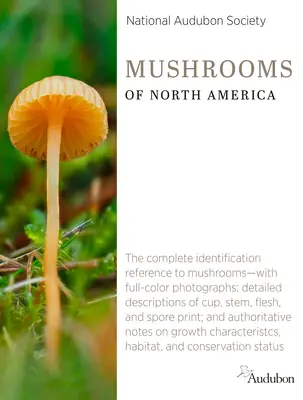 Nationale Audubon-Gesellschaft Pilze Nordamerikas - National Audubon Society Mushrooms of North America