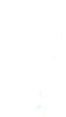 Wildnisführer Nordostengland: Abenteuer in Northumberland, Yorkshire Moors und North Pennines - Wild Guide North East England: Adventures in Northumberland, Yorkshire Moors and North Pennines