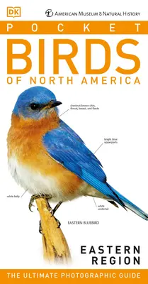 Amnh Pocket Birds of North America Östliche Region - Amnh Pocket Birds of North America Eastern Region