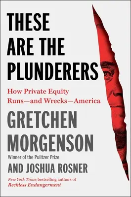 Das sind die Plünderer: Wie Private Equity Amerika regiert - und ruiniert - These Are the Plunderers: How Private Equity Runs--And Wrecks--America