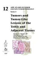 Tumore und tumorähnliche Läsionen des Hodens und angrenzender Gewebe - Tumors and Tumor-Like Lesions of the Testis and Adjacent Tissues