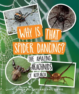 Warum tanzt die Spinne? Die erstaunlichen Arachniden von Aotearoa - Why Is That Spider Dancing?: The Amazing Arachnids of Aotearoa