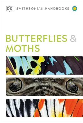 Schmetterlinge und Motten - Butterflies and Moths