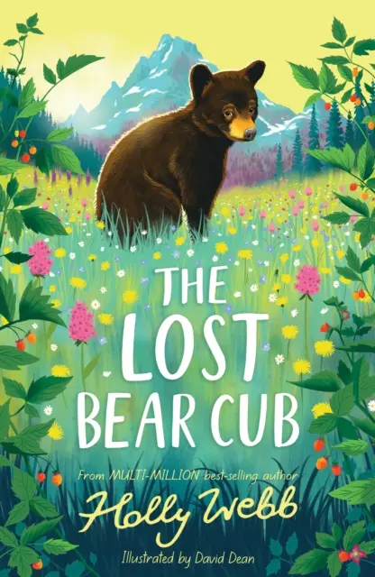 Verlorenes Bärenjunges - Lost Bear Cub