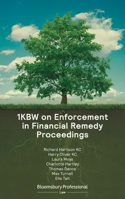 1kbw zu Vollstreckung in Finanzgerichtsverfahren - 1kbw on Enforcement in Financial Remedy Proceedings
