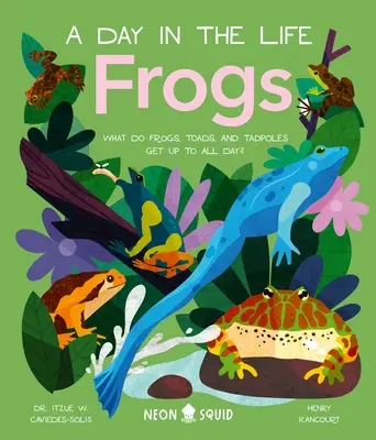 Frösche (ein Tag im Leben): Was treiben Frösche, Kröten und Kaulquappen den ganzen Tag? - Frogs (a Day in the Life): What Do Frogs, Toads, and Tadpoles Get Up to All Day?