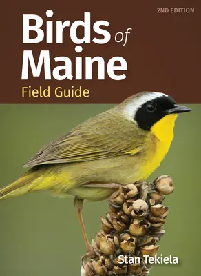 Vögel von Maine Feldführer - Birds of Maine Field Guide