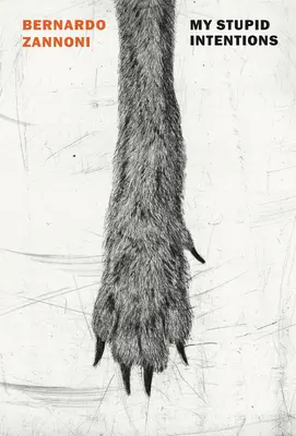 Meine dummen Absichten - My Stupid Intentions