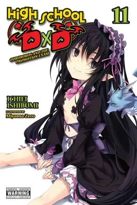 High School DXD, Band 11 (Unterhaltungsroman) - High School DXD, Vol. 11 (Light Novel)