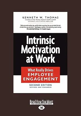 Intrinsische Motivation bei der Arbeit: Was das Engagement der Mitarbeiter wirklich antreibt (Großdruck 16pt) - Intrinsic Motivation at Work: What Really Drives Employee Engagement (Large Print 16pt)