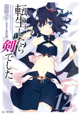 Wiedergeburt als Schwert (Light Novel) Band 12 - Reincarnated as a Sword (Light Novel) Vol. 12