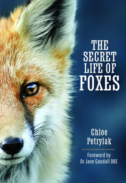 Das geheime Leben der Füchse - The Secret Life of Foxes