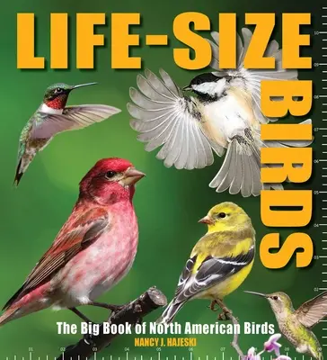 Vögel in Lebensgröße: Das große Buch der nordamerikanischen Vögel - Life-Size Birds: The Big Book of North American Birds