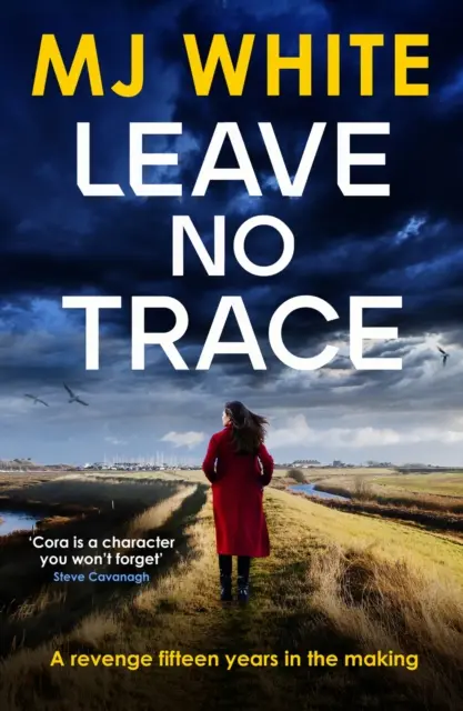 Leave No Trace - Ein spannender, verworrener Kriminalroman - Leave No Trace - A suspenseful, twisty detective novel