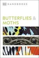 Schmetterlinge und Motten - Butterflies and Moths