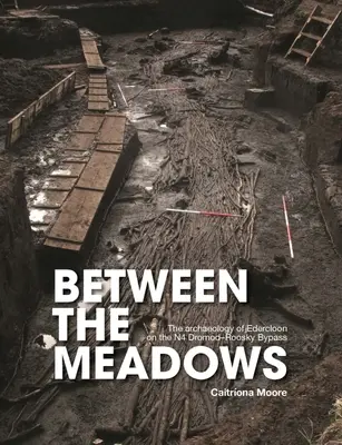 Zwischen den Weiden: Die Archäologie von Edercloon an der Umgehungsstraße N4 Dromod-Roosky - Between the Meadows: The Archaeology of Edercloon on the N4 Dromod-Roosky Bypass
