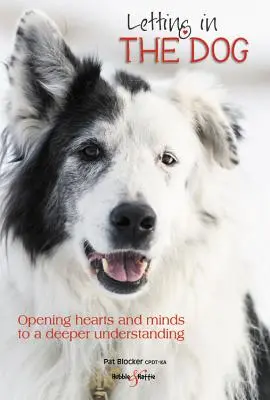Den Hund hereinlassen - Herz und Verstand öffnen für ein tieferes Verständnis - Letting in the dog - Opening hearts and minds to a deeper understanding