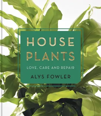 Zimmerpflanzen: Liebe, Pflege und Reparatur - House Plants: Love, Care and Repair