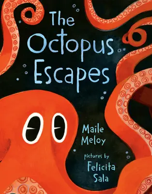 Der Oktopus entkommt - The Octopus Escapes