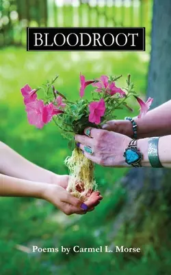 Blutwurz - Bloodroot