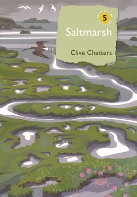 Salzwiese - Saltmarsh