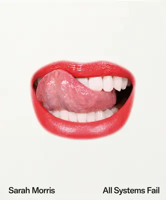 Sarah Morris: Alle Systeme versagen - Sarah Morris: All Systems Fail