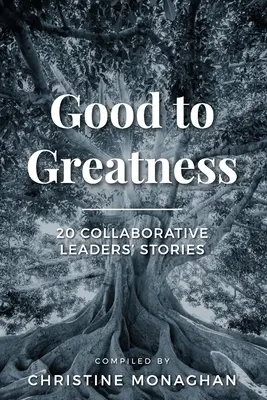 Gutes zu Großem: 20 Geschichten von Führungskräften aus der Zusammenarbeit - Good to Greatness: 20 Collaborative Leaders' Stories